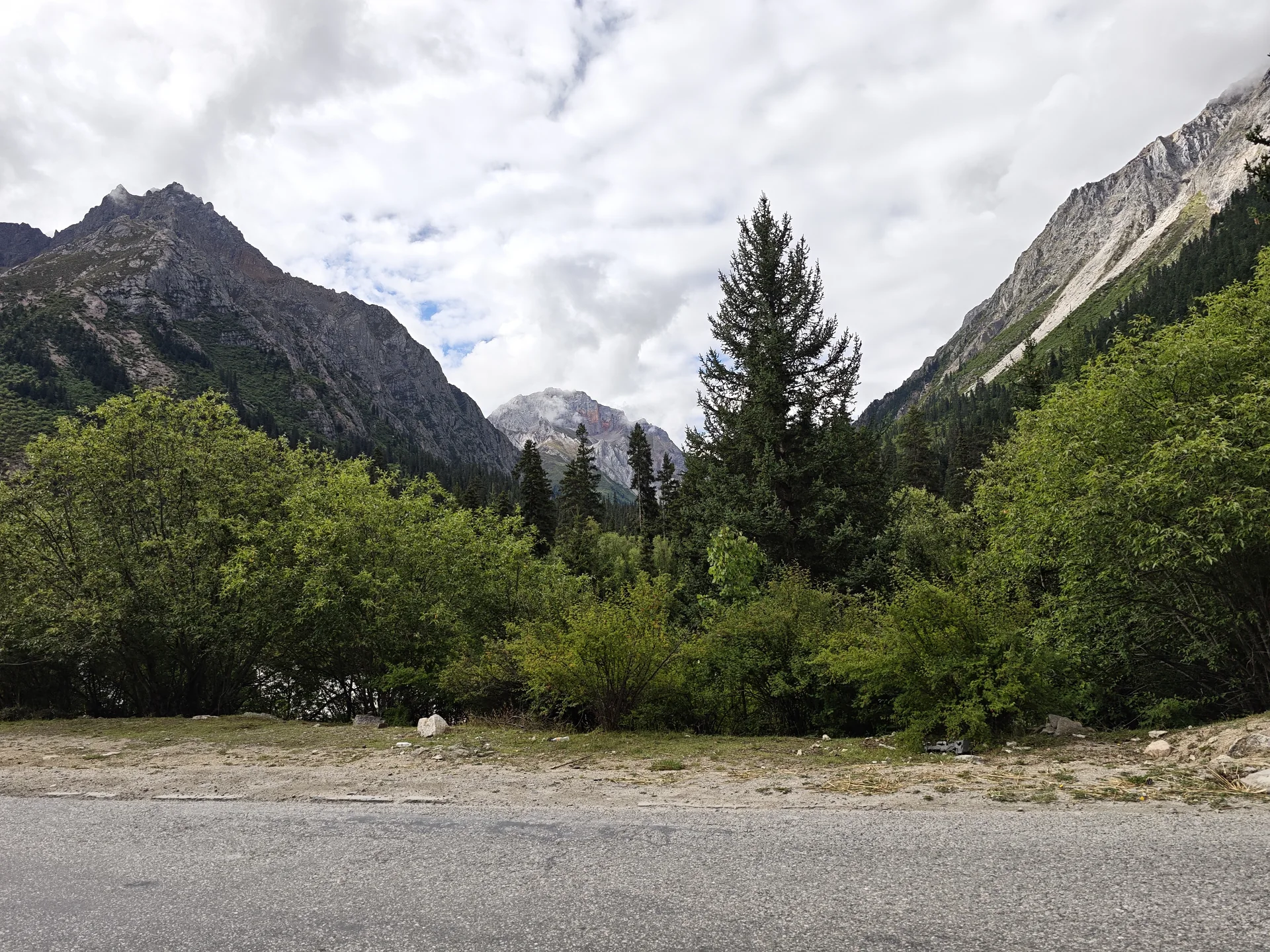 A forested mountain valley beside a road
