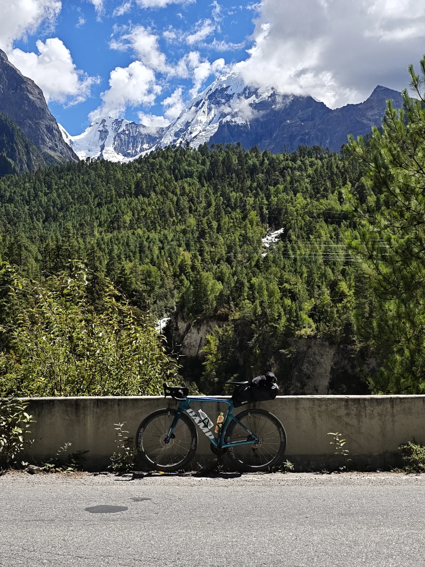 A bicycle parked beside a forested roadside