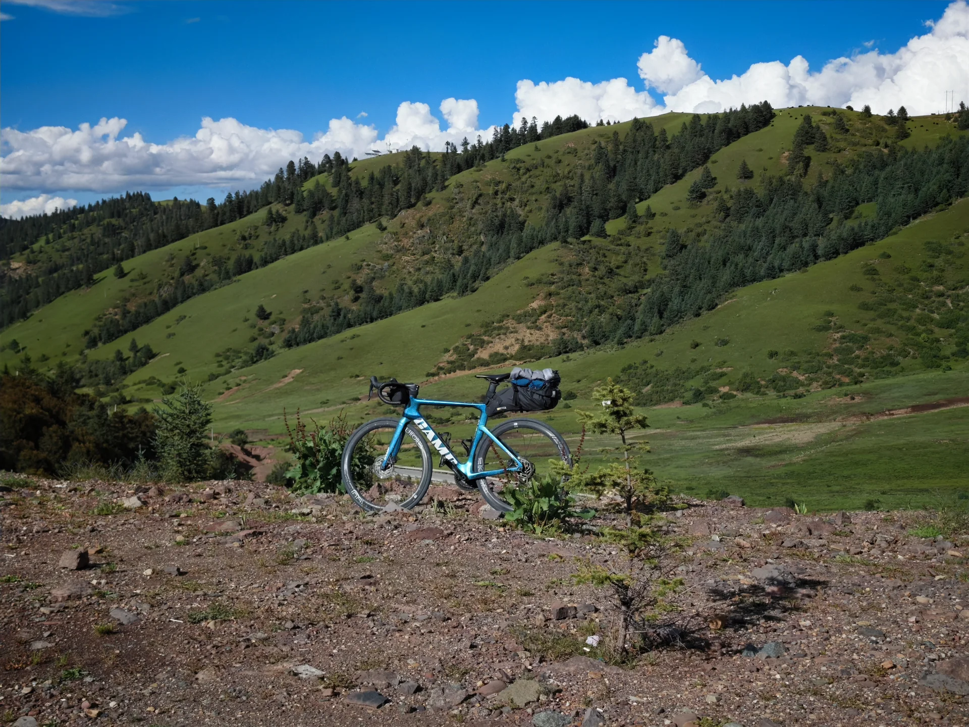A touring bicycle resting on a green hillside