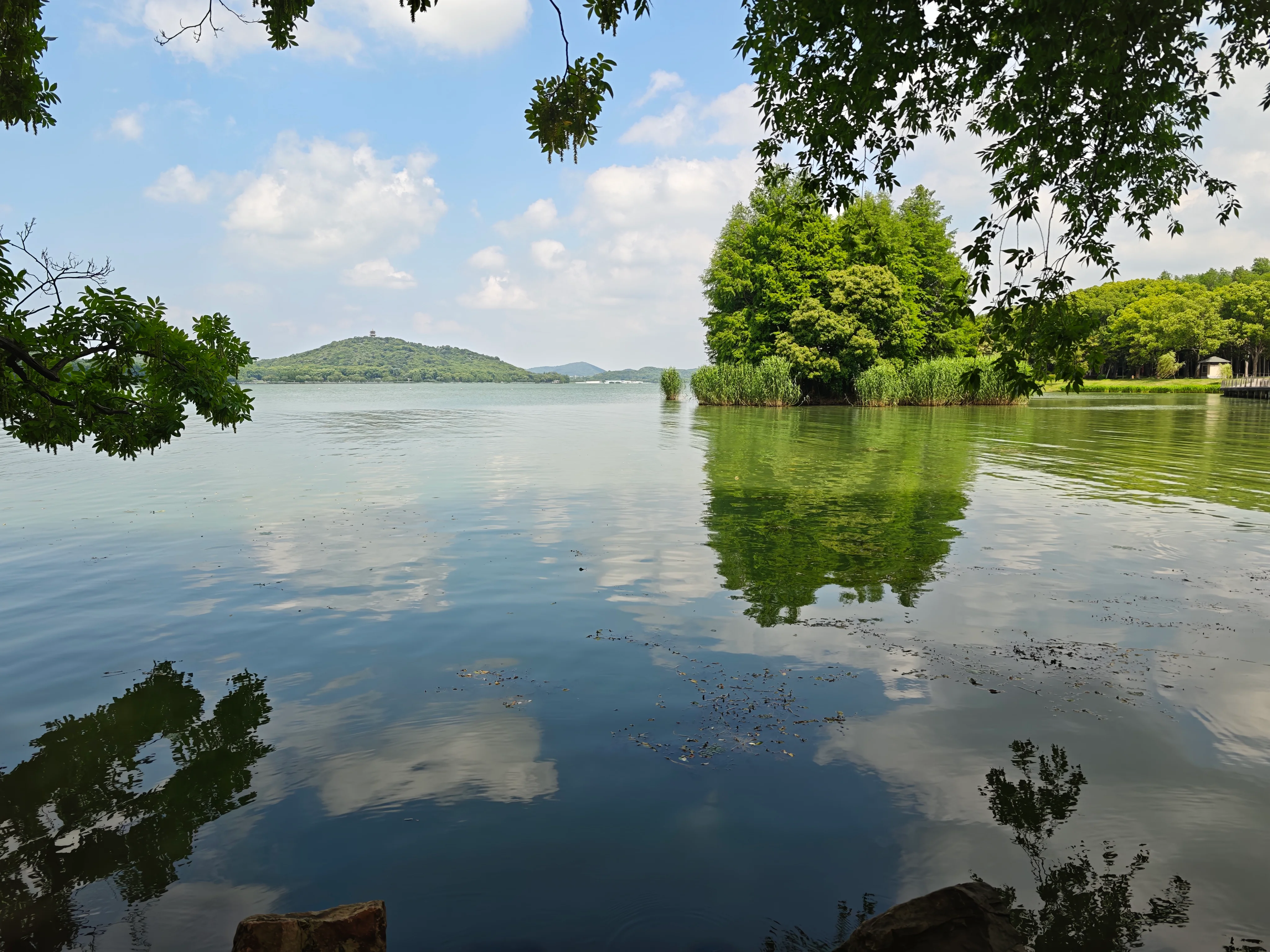 树荫下倒映天空与绿树的太湖水面