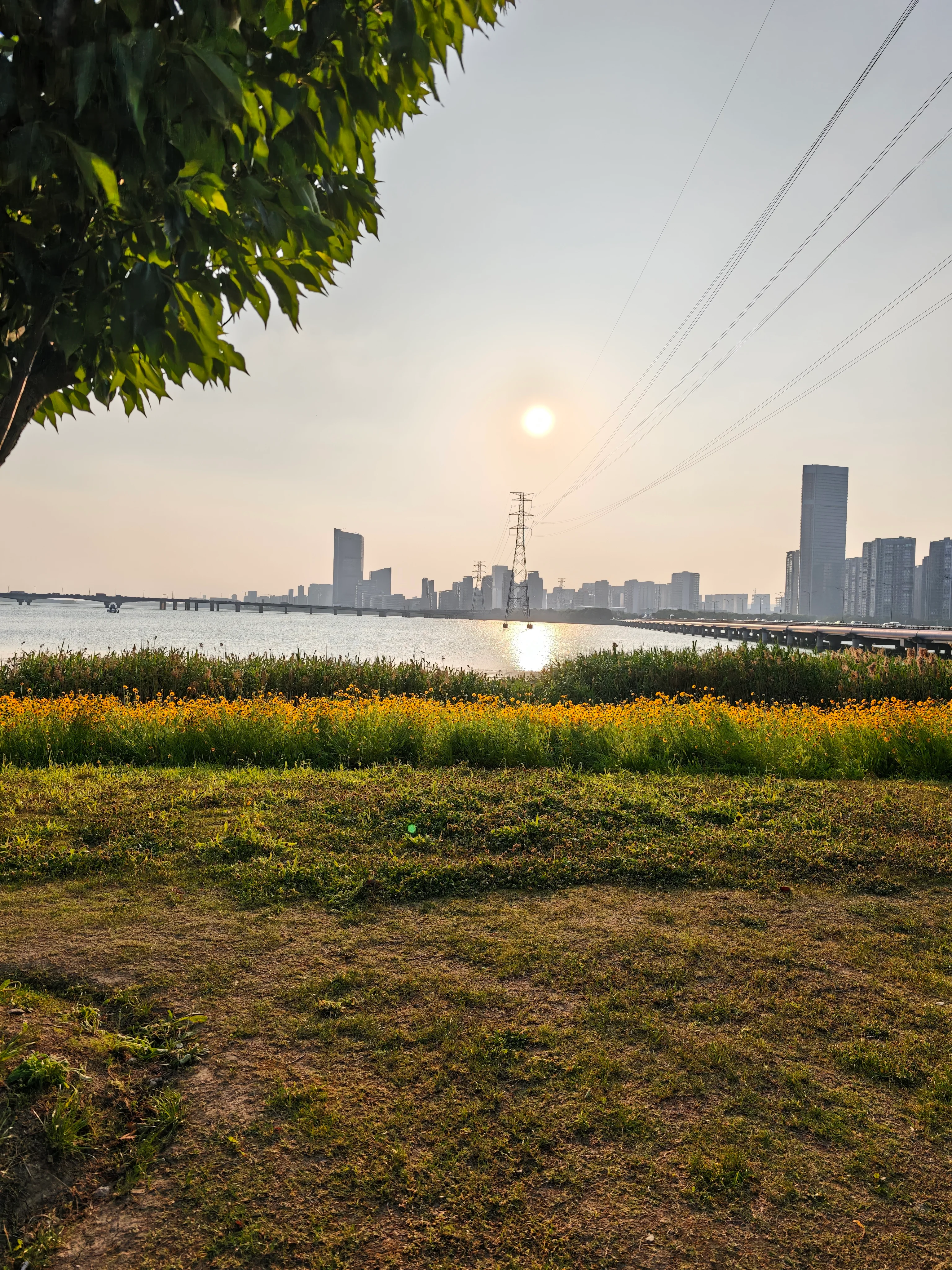 夕阳下太湖岸边的城市天际线