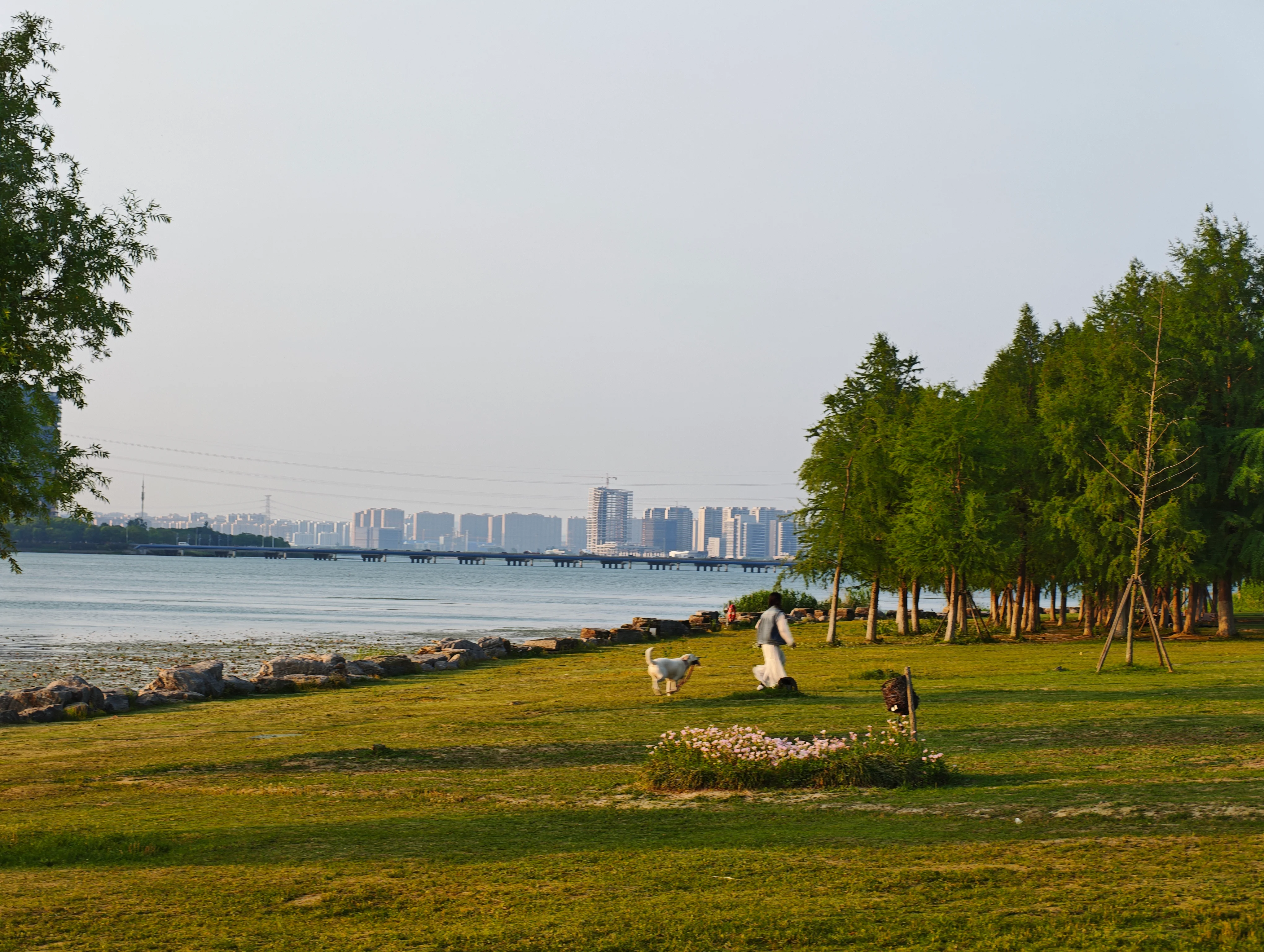 太湖边草坪与远处的城市天际线