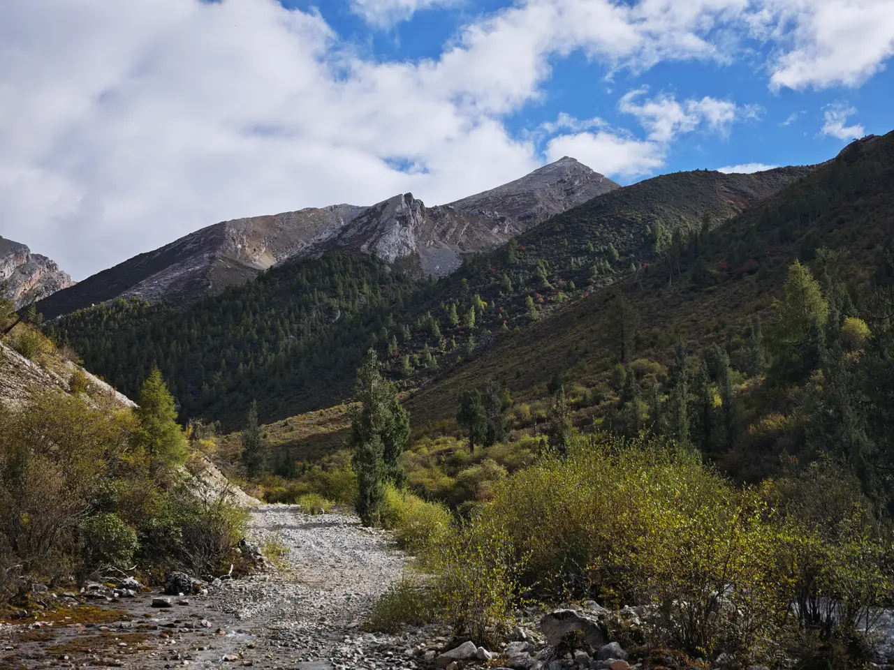 秋色灌木铺满山坡，谷底溪流从画面中央拐向更深处。
