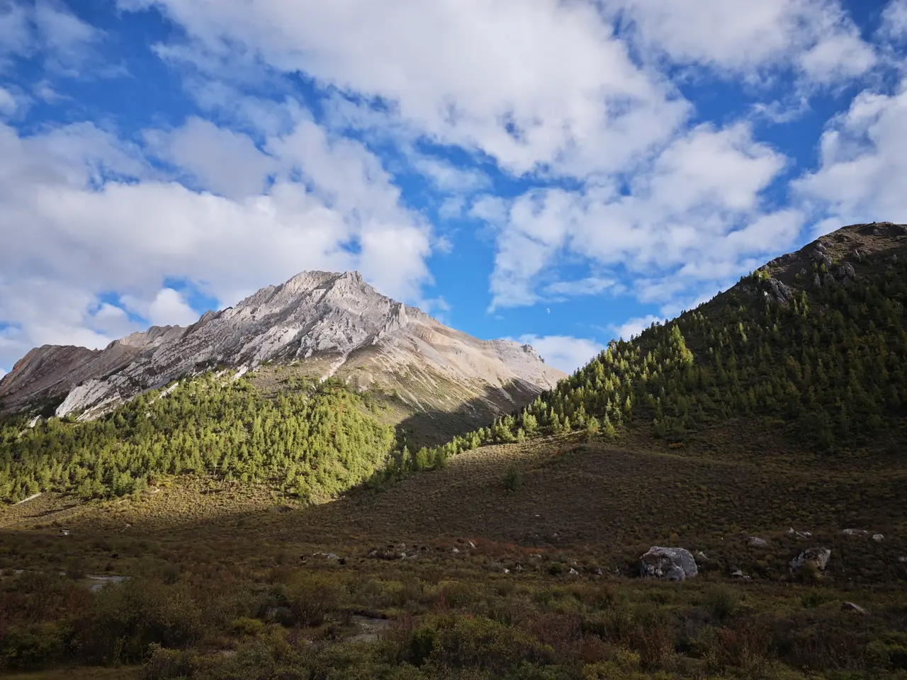 溪流沿着谷底弯向远山，侧光打亮了山壁和灌木的纹理。