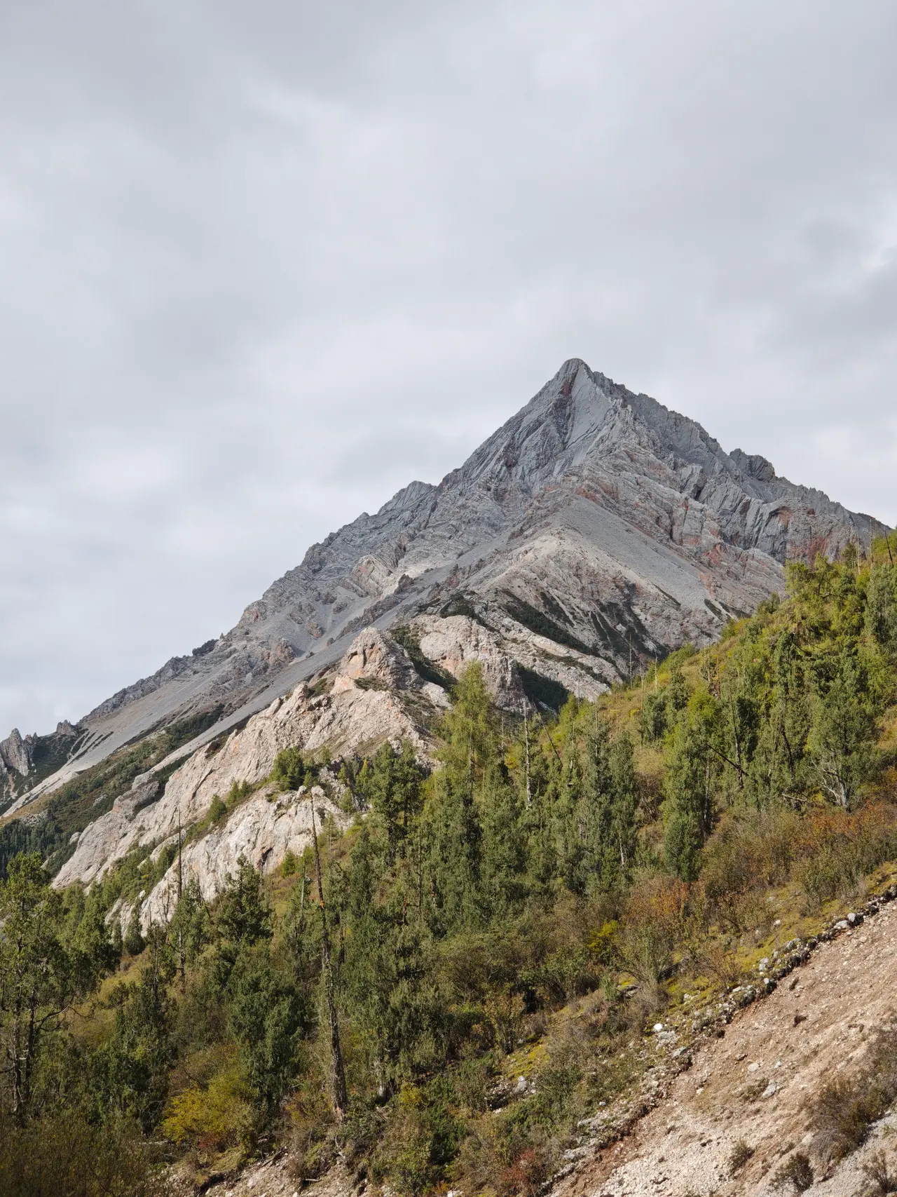 一座尖锐山峰从林线后方突起，岩壁线条在近景树梢上方格外醒目。