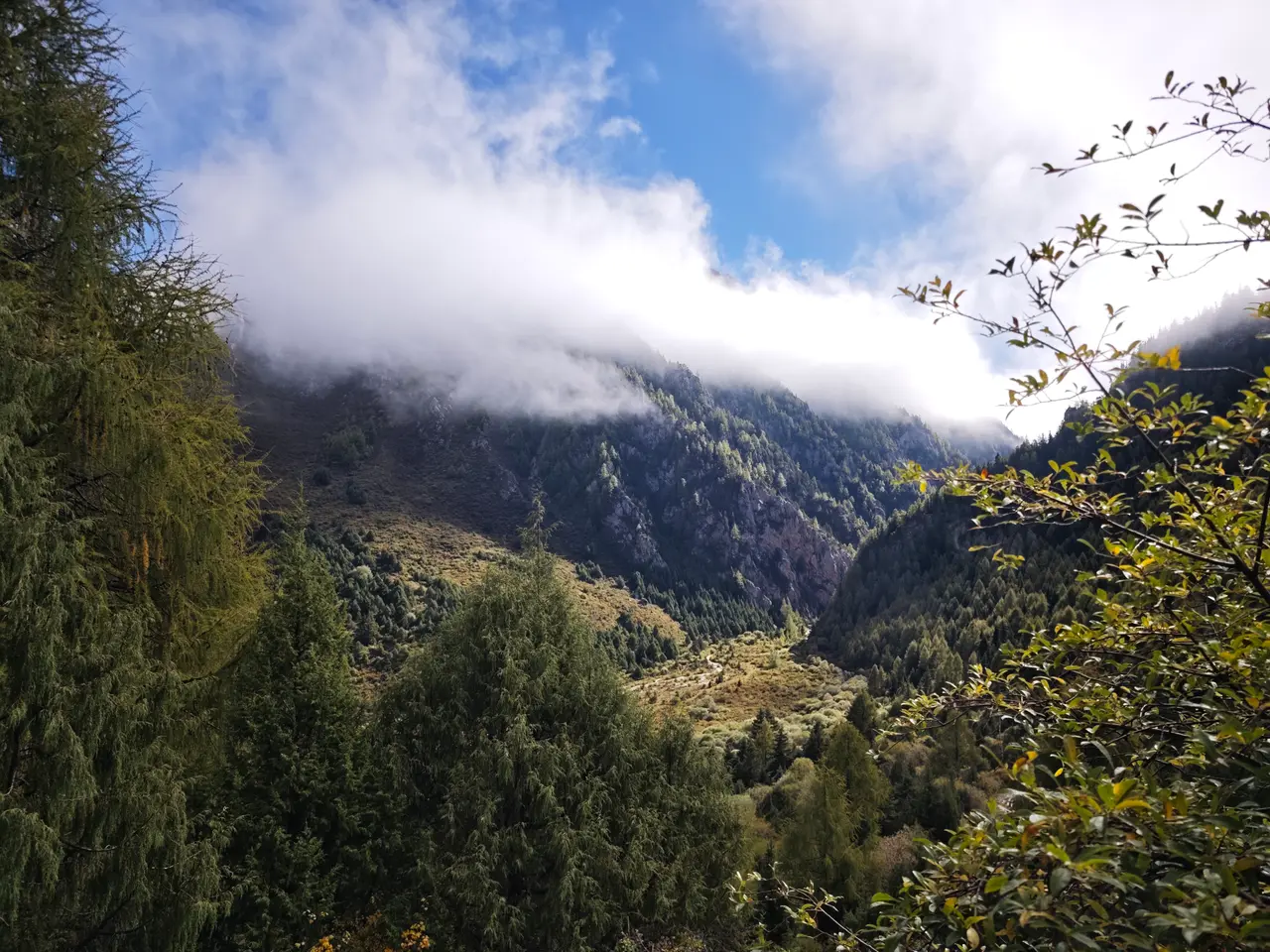 返程途中，峡谷坡面从云雾里慢慢露出，林线和岩壁重新显形。