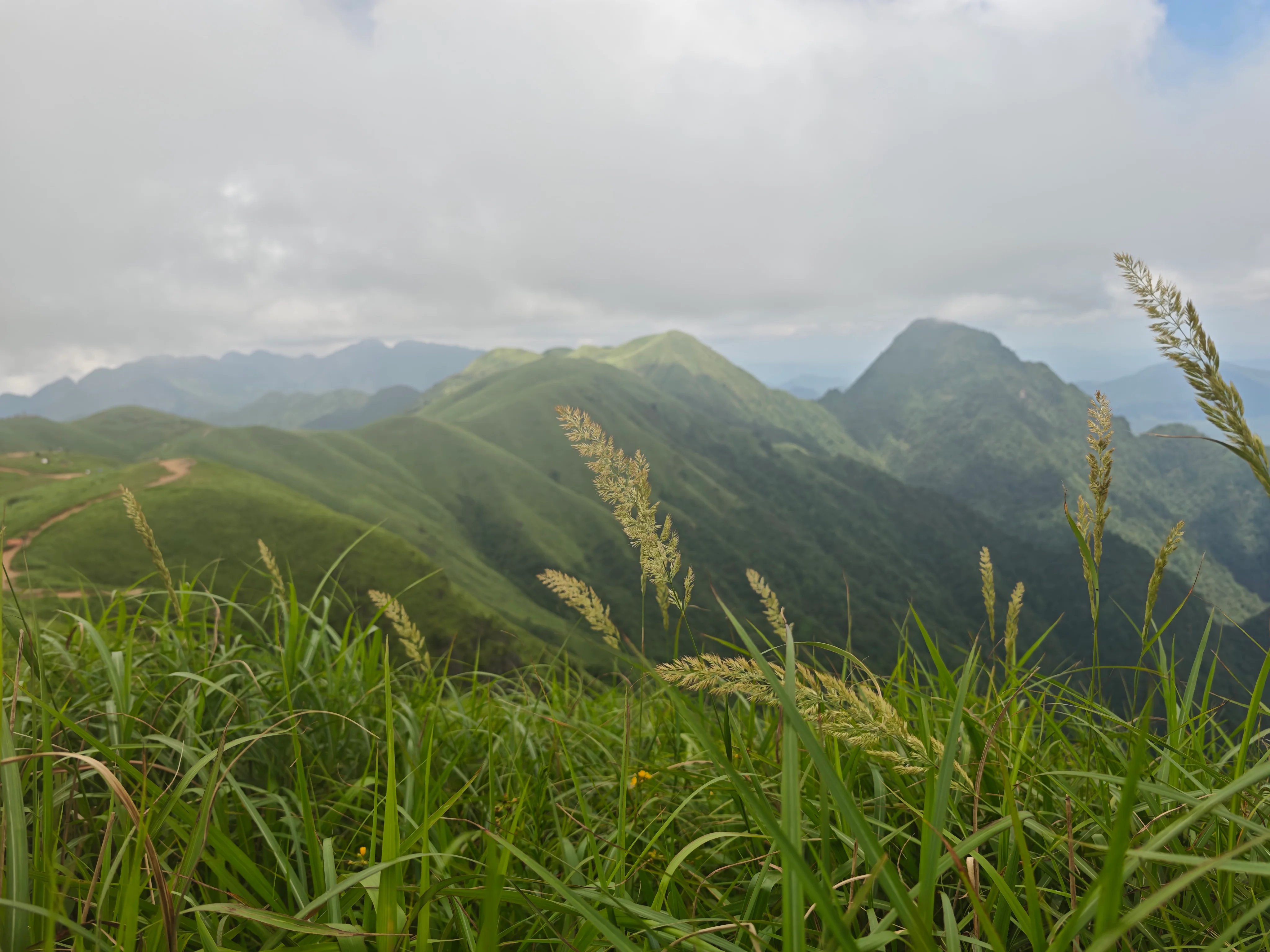 草甸前景中的武功山群峰