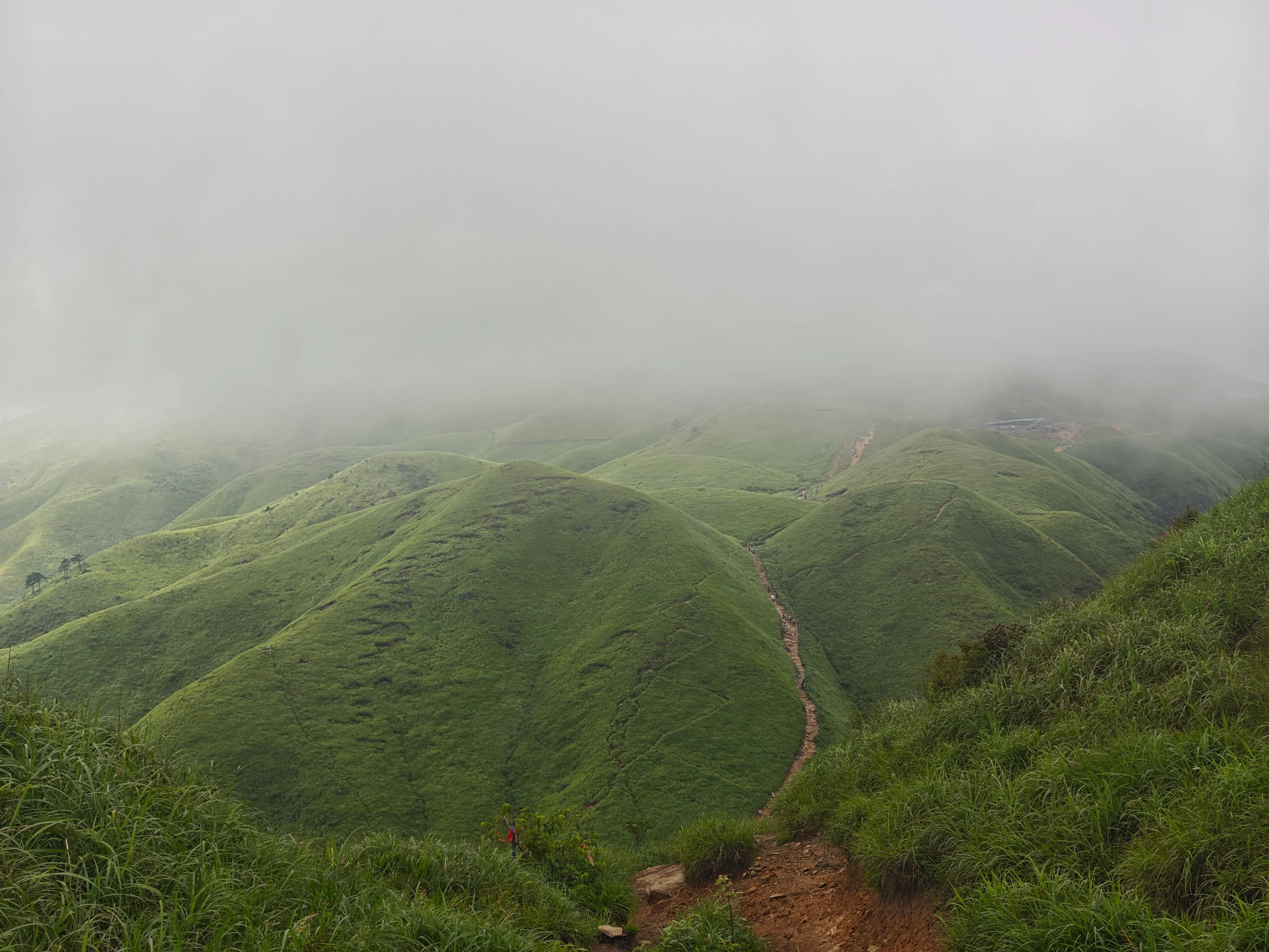 云雾笼罩的武功山高山草甸